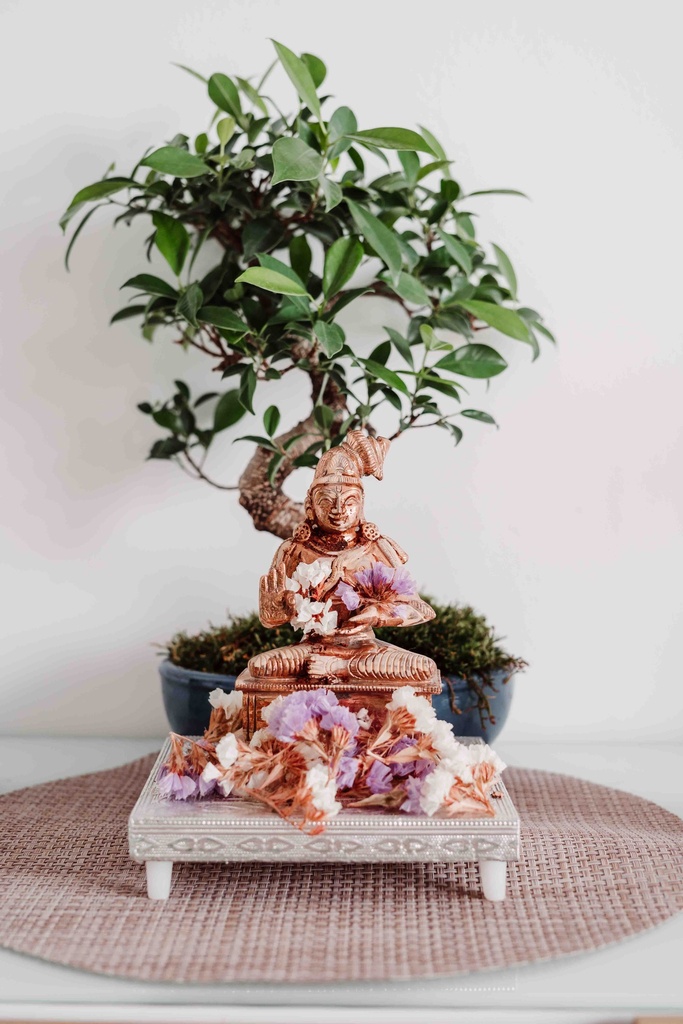 Cours de Méditation - 1 séance